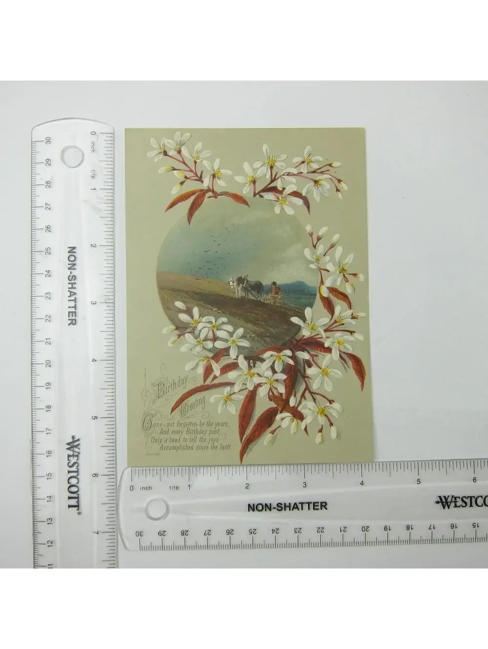 Victorian Birthday Greeting Card Farmer Plow Horses White Flower Blossom Antique